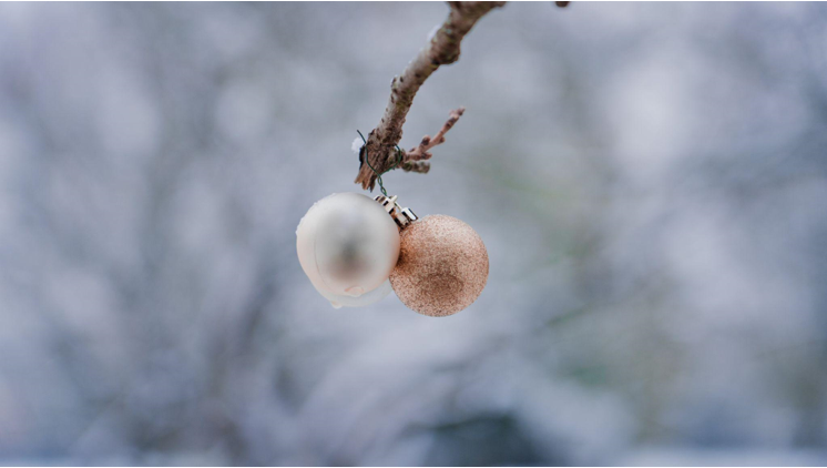 How to Decorate Your Gym for the Holidays with Christmas Garland and Wreaths with Lights